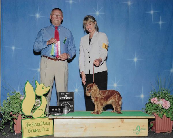 Sweet Alice winning WB and best puppy.