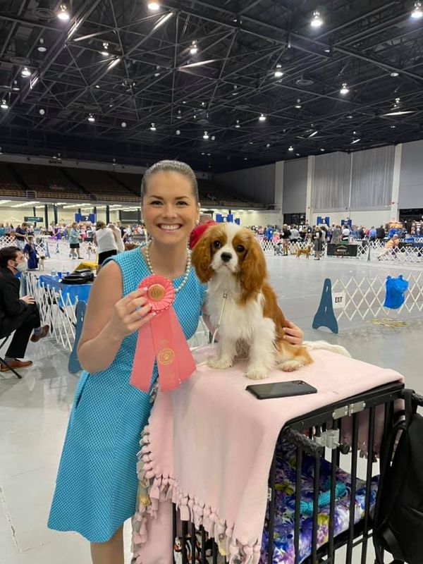 Birdie and Rebecca winning Best Puppy in Puppy Toy Group! What a day!