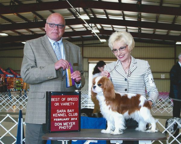 Sofie wins Best of Breed!