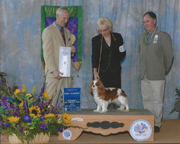 Sofie takes a Group Four in Pensacola!