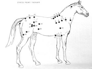 Wilson-Meagher Stress Point Therapy
