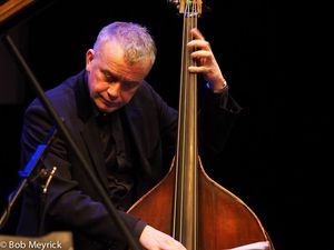 Arnie Somogyi- acoustic and electric bass (UK)