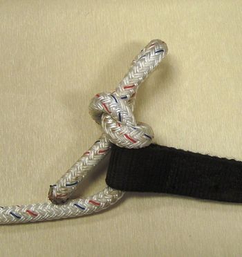 Go through the small loop end of the strap and tie a slip knot. Be sure the slip releases by pulling on the tag end of the lead.