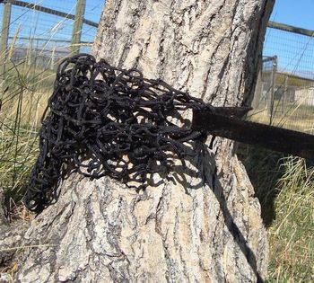 Wrap a small tree by passing the strap through the bottom of the bag and bind the lead to the strap with a quick release knot. CAUTION never use the "wrap the strap" knot at any time the bag cannot be easily moved!!