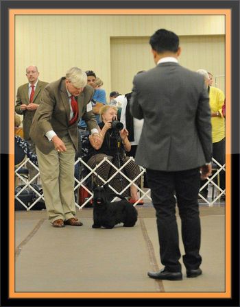 Tweed winning 2nd in the 6-9 Division Runoff at the STCA National Specialty at Montgomery County - Oct. 2013