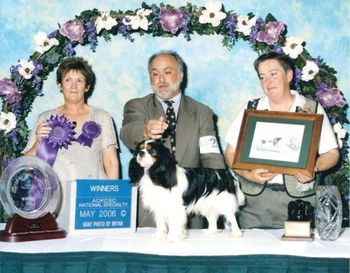 Winners Dog - Kunrad V H Lamslag "What can I say but Thank you, Thank you for the last dog in the last class! KUNRAD V H LAMSLAG A super sound, super typical, well marked Tri boy who delighted my eye. Lovely soft but masculine head, so correct in shape and muzzle, lovely dark eyes full of expression, he carried himself so proudly and correctly on the move and in stance. Well made, correct shape, well angulated. A young boy, still to finish in coat, who is just hitting his straps, at his first show in this country, you haven’t seen the best of him yet. I will follow his career with interest, I know he can’t be mine, but oh to dream. Was delighted that my co-judge Norma Inglis selected him for a deserving AOM amongst the crème of champions and that he also won Winners dog at the Atlanta show the day after."