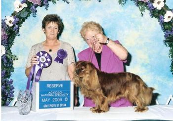 Reserve Winners Dog - Rattlebridge Up In Lights "My Bred by exhibitor Winner a stunning Ruby Dog RATTLEBRIDGE UP IN LIGHTS who gave me chills up the spine. Very masculine head, but not overdone, with lovely large dark eyes betraying a wicked outlook which is delightfully cavalier, perfect earset with long ears which framed the face, so well made from head to tail, well angulated, strong and sound as a bell, fully coated which made him appear slightly stuffy in neck and larger than he was until you got your hands on him. Moved like he was made, dead straight topline and excellent tailset. On toss of the coin RESERVE WINNERS DOG I don’t think his title will be far away, I would love this boy in my kennels."