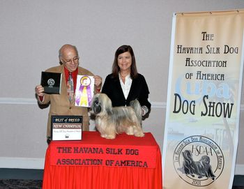 At Nationals in 2012, Genny wins Best of Breed at the Regional Specialty on Friday. Her dad, Curtis was BOS, and her sister, Maya, and brother Enzo, both won an AOM