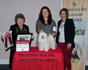 Genny's, mom, Ally, wins BOS at the 2012 National Specialty.. She has only been to two Nationals and she won BOS both times