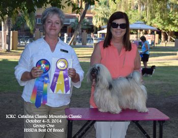 In Tucson in 2014, Genny wins BOB and a Group I. She also won BOB the next day but we did not get our picture taken