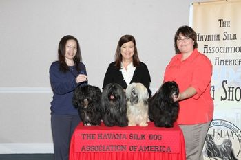 Maya (sister), Curtis (dad), Genny, and Enzo (brother) at Nationals handled by Dionne, Agnes and me. Not sure why Helen did not make the photo.