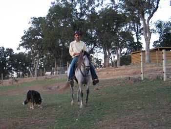 Musica de Toledano, 3rd place Piedmont Classic 3 yr old, 3rd Place National AO Fino fillies 4 yr old, Murphysboro Champion of Champions 2003, 3rd place Pro & AO champ Gold cup 2008/