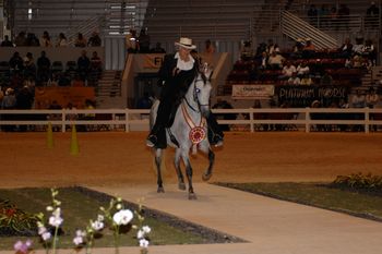 Tourballina de Toledano, Mundial AO Reserve Champ. Two years Champion of Champion Murphysboro pleasure & Performance.