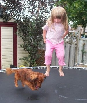 Jade jumping on the trampoline with her friend, CH. Taxvalpar's Big Red One, Link