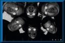 SHIM was house band for the EMIT series for its first 8 years with David Irwin, David Pate, Jim Stewart, TJ Glowacki, Keith Hedger and David Manson as members.