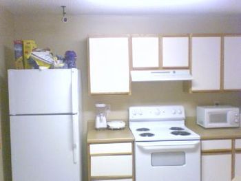 3 P Entertainment Kitchen !!! All brand New , of course !!! Complete with the camera above the refrigator to record all activites within the 3 P Penthouse, so come on Ladies , come over and be in 3