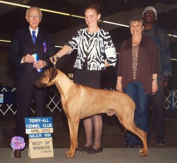 Kadin - Regiment's Spell Worked Like A Charm winning his 2nd mjor under judge Dr.Anthony DiNardo! Shown expertly by Annika Dechert :-)