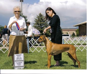 Sparta takes Winners Bitch & Best Opposite today for another 2 points! Thank you Mary Lynn Elliott for the beautiful handling of Miss Sparta and thank you judge Mrs.Julie Holm for the win : )