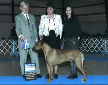 This was Gane's first 4pt. major & Best of Winners under judge Joseph Gregory!!! Handled by Sue Jahn.