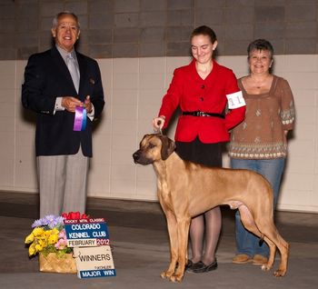 Kadin - Regiment's Spell Worked Like A Charm winning a major under judge Lou Guerrero! Kadin is handled beautifully by Annika Dechert.
