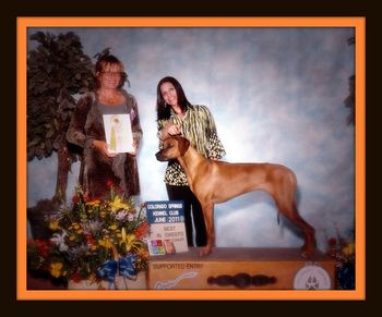 Cinder - Regiment's Light 'Em Up shown here winning Best in Sweeps under breeder Mary Sorosky of FireDance kennels. Cinder was almost a year to the day for this great win!