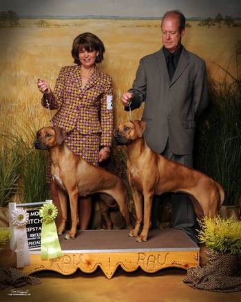 Here are the amazing sisters Sparta and Bridget! Both winners that day in Sweepstakes at the National Specialty & being handled wonderfully by Mary Lynne Elliott(Sparta) and Frank DePaulo(Bridget).