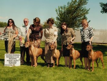 The fabulous Gane winning stud dog under judge William Sahloff! Next to him is Sparta, then Selous & last Cinder. Awesome line up!