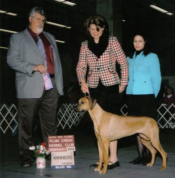 Sparta wins another major today at the huge Denver show! Thank you Mary Lynne Elliott for showing her to victory : )) Thank you Judge Steven Gladstone. Bummer my eyes are closed.