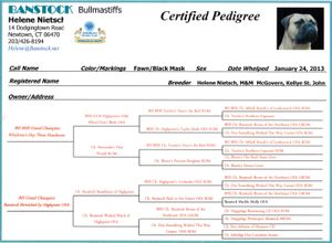 Amelia's pedigree