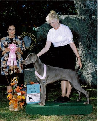 Ch. Telmar HiBourne Fantasy "Rhonda" (HiBourne's Trademark x Ch. Smokey City Diamonds R Forever) Owner: Joyce Wirt