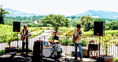 THE DISORDERLY HOUSE BAND