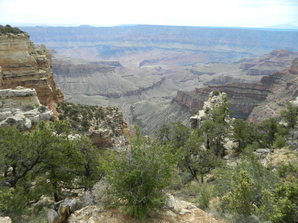 North Rim of the Grand Canyon