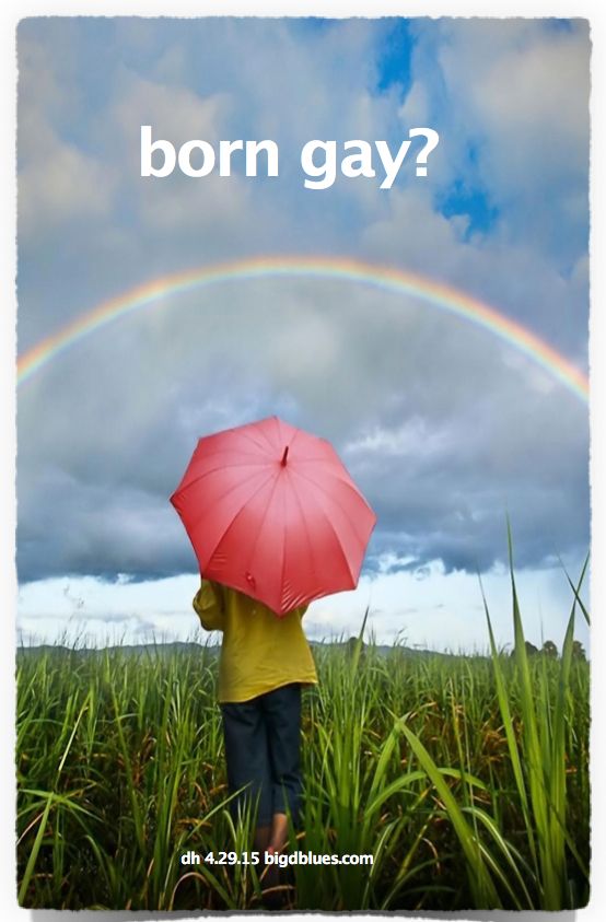 born gay? jpg