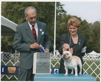 CH. HILLBUCKLE'S CHOPIN SOUTHCANAL, FINISHING HIS CHAMPIONSHIP, UNDER DONNA STOFFER'S HANDLING, CHOPIN, NOW LIVES IN TAIWAN, AND IS ONE OF THE TOP FRENCH BULLDOGS, IN TAIWAN! HE BELONGS TO MY FRIEND STEPHEN LIN.