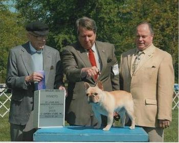CH. HILLBUCKLE'S DEUX CHEVAUX AT PURINA FARMS, GETTING HIS THIRD MAJOR WIN, WITH JIM GREBE, AND MYSELF. WE ARE VERY PROUD, OF HIM!
