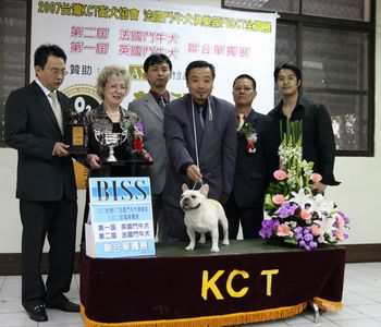 CH. HILLBUCKLE'S CHOPIN SOUTHCANAL, WINNING HIS FIRST B.I.S.S., IN TAIWAN! CHOPIN DEFEATED 110 FRENCH BULLDOGS, FOR THIS WIN. HIS OWNER STEPHEN LIN, MY GOOD FRIEND, IS ON FAR RIGHT. WE ARE BOTH VERY PROUD OF CHOPIN, WHOSE SON, IS NOW WINNING IN TAIWAN