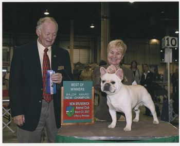 CH. HILLBUCKLE'S DEUCE WILD, GETTING HIS CHAMPIONSHIP! DEUCE, LIVES IN NEW JERSEY, WITH HIS PROUD MOMMA, KATHRYN PEREZ