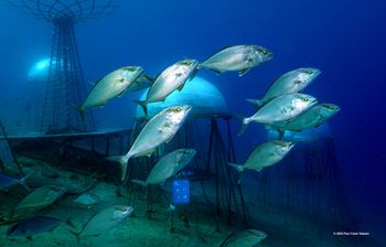 With a cadre of fish patrolling the perimeter, the biodomes of Nemo's Garden loom in the background. This place is a blend of DaVinci, Jules Verne and Indiana Jones. PCD Photo