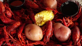 Paul's Cajun heritage and tastebuds were both satisfied during a photo shoot for Crazy Allan's Swamp Shack, a popular seafood restaurant in Kemah, Texas. Paul Cater Deaton Photo