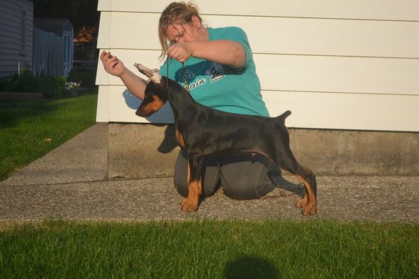 14 wks
