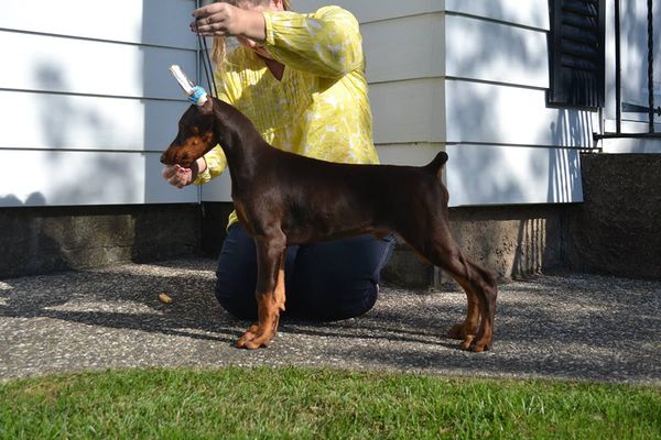 14 wks