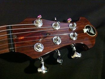 The Brave's headstock features direct string-pull, a rosewood veneer, and an ebony and mother-of-pearl 'F' monogram.