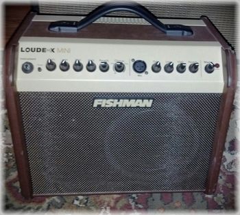 Fishman Loud Box Mini, I use this for Acoustic Gigs, mostly to control how I hear myself. This amp is small, but powerful and sounds great