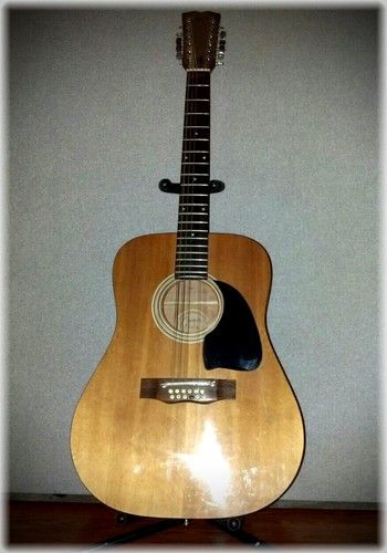 "Goya" 12 String that was setup by this cat named "Star" he was from some other planet. However this Guitar and all the other "copies" he setup play perfect, perfect intonation, perfect action, incredible...don't know how he did it or what happend to him.