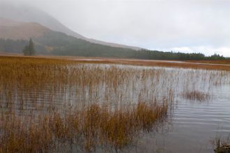Misty Mire - Available for Sax Ensemble or Wind Ensemble https://www.youtube.com/watch?v=7oRrJisaM68&t=31s
