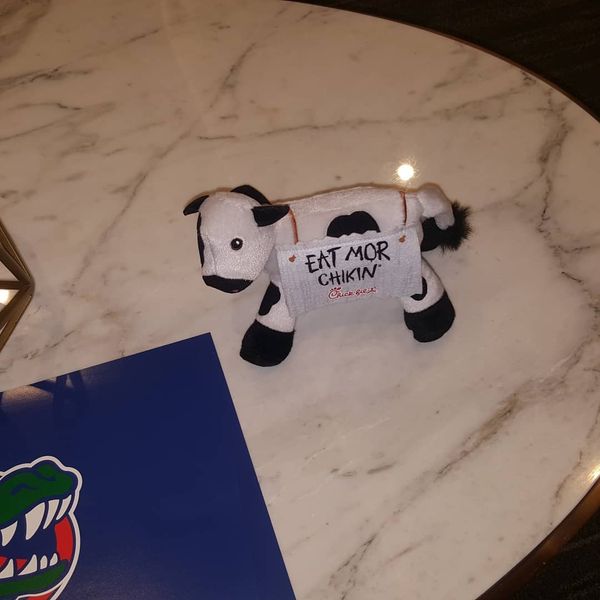 The Chick Fil A stuffed animal cow that says Eat More Chicken