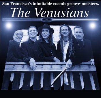 The Venusians "Club and Festival Band" (L to R) Jeff Obee, Robert Powell, Matt, Michael Saint John and Rob Michael