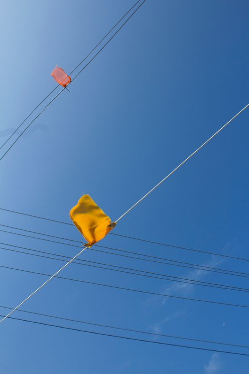 "A Ceremony in Defiance for the Plants", 2021. Public intervention with naturally dyed fabric, rope, and clothes pins.