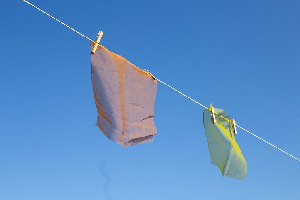 "A Ceremony in Defiance for the Plants", 2021. Public intervention with naturally dyed fabric, rope, and clothes pins.