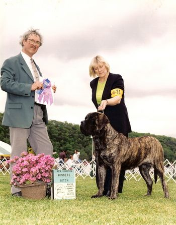 Ch.Lamars Mednight Mezmorelda Ch.Paxrivers Dozer by Sidetrack X Ch.Lamars sassy Sandy Savy Finished att Bucks